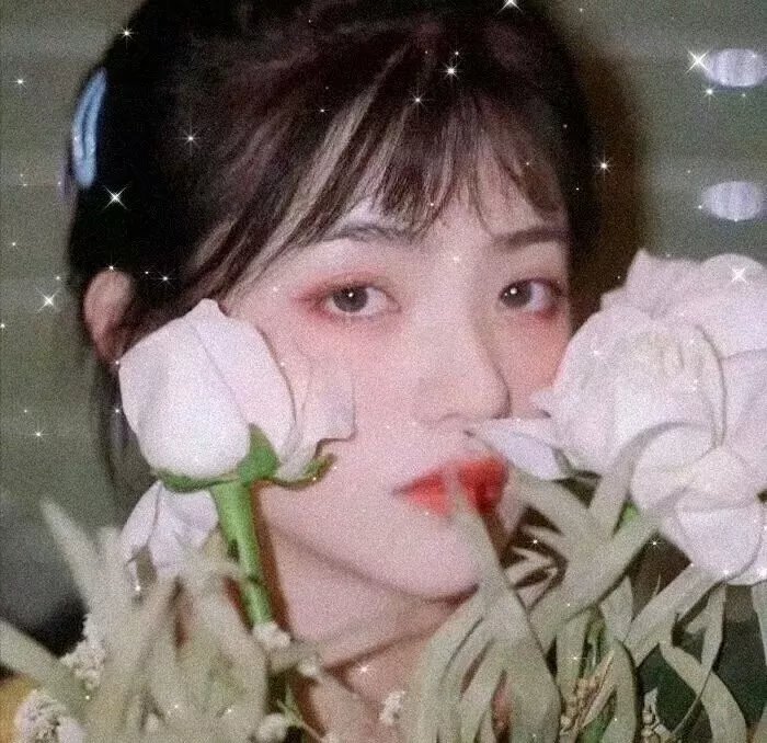 夜樱四重奏 花之歌